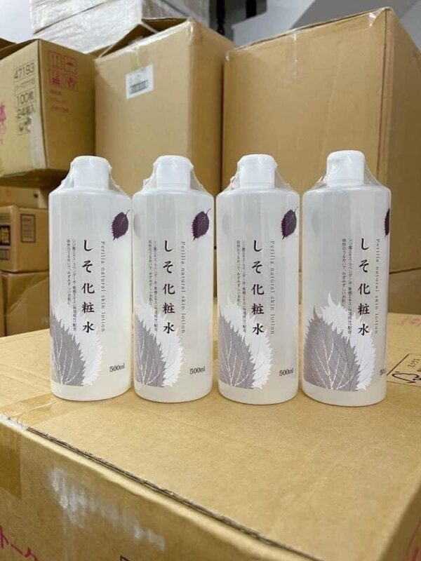 Nước Hoa Hồng Diep Ca Dokudami Nhật Bản